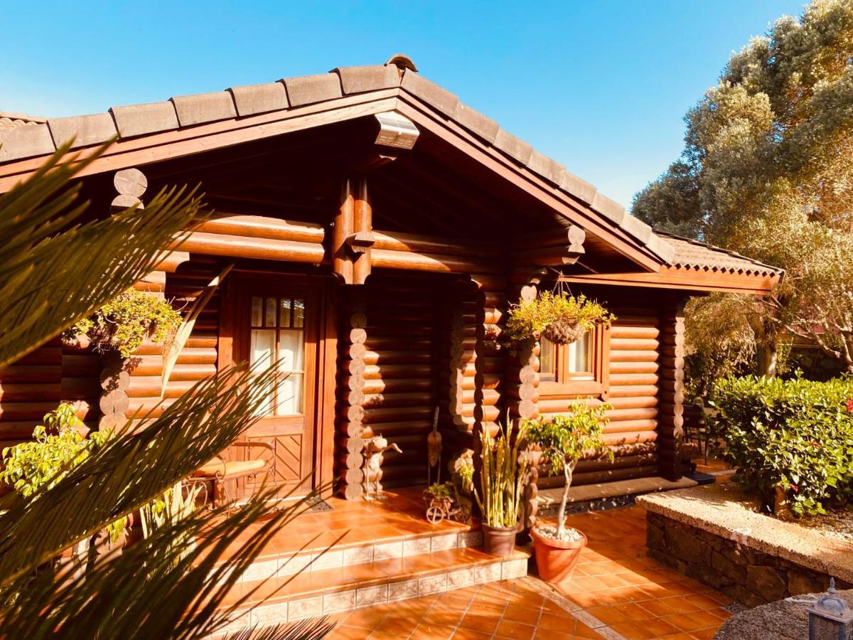 Nordic House Near The Beach In Quiet Neighborhood, All Amenities تاكورونتي المظهر الخارجي الصورة
